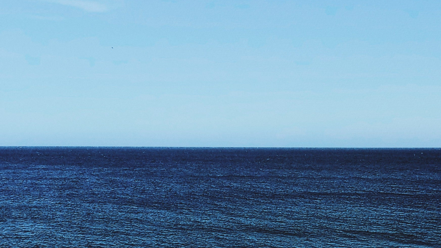 Calm ocean with a clear blue sky above